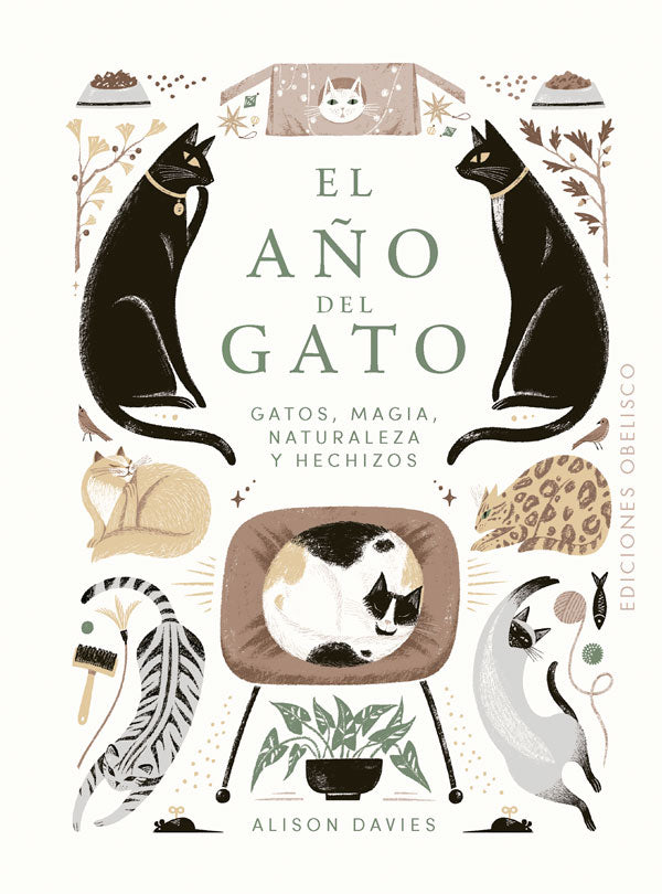 Libro El Año del Gato