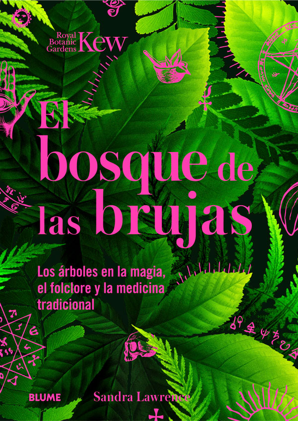 Libro El Bosque de las Brujas